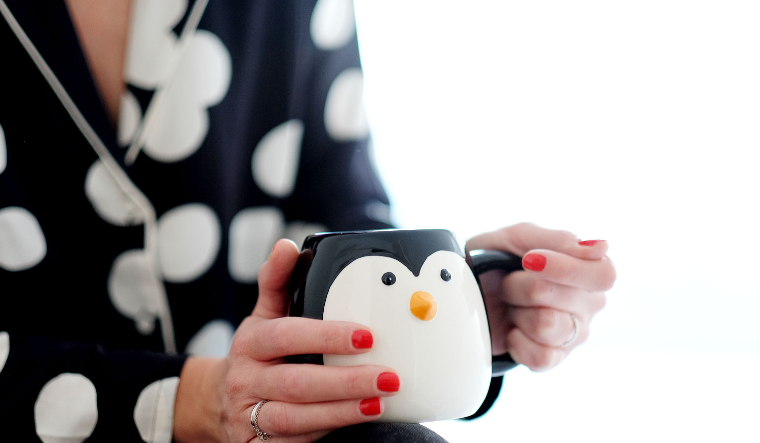 mug pingouin