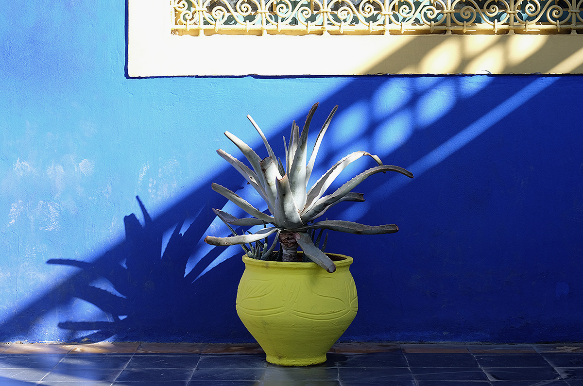 jardin majorelle