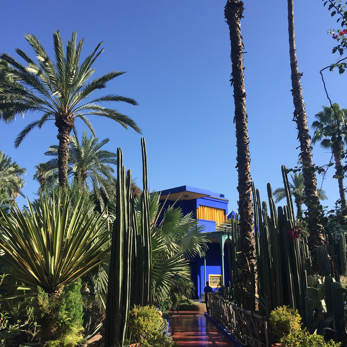 jardin majorelle