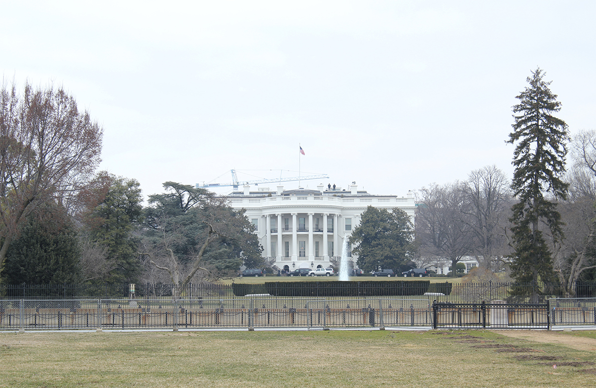 white house 